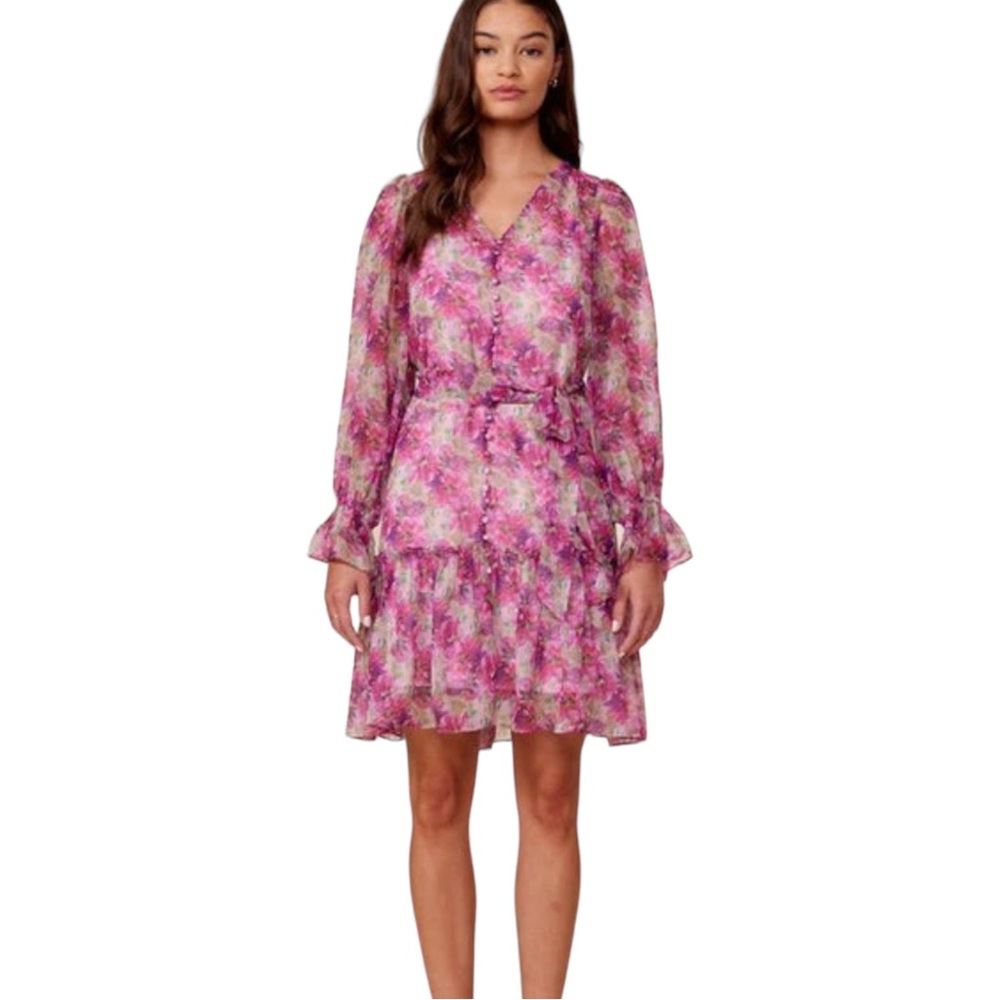 Lucy Paris Women's Large Hyacinth Mini Dress‎ Floral Two Layers V Neck Ruffles